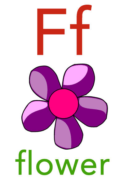 Baby Mozart Flashcard - F for flower