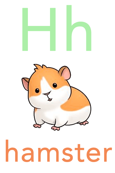 Baby ABC Flashcard - H for hamster