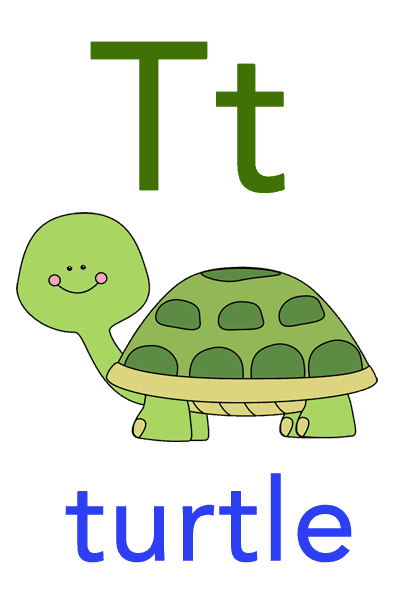 Baby ABC Flashcard - T for turtle
