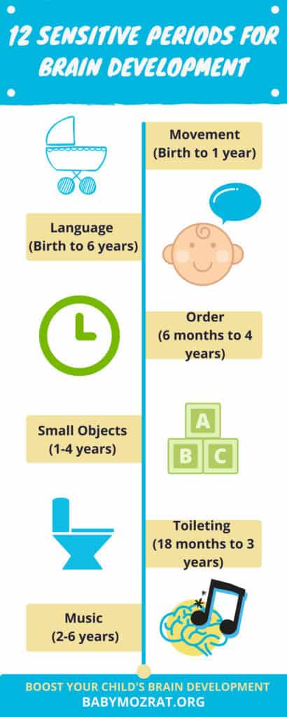 Brain Development in Children - 12 Sensitive Periods You Must Not Miss