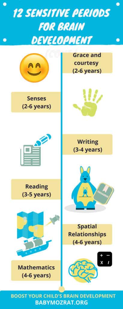 Brain Development in Children - 12 Sensitive Periods You Must Not Miss