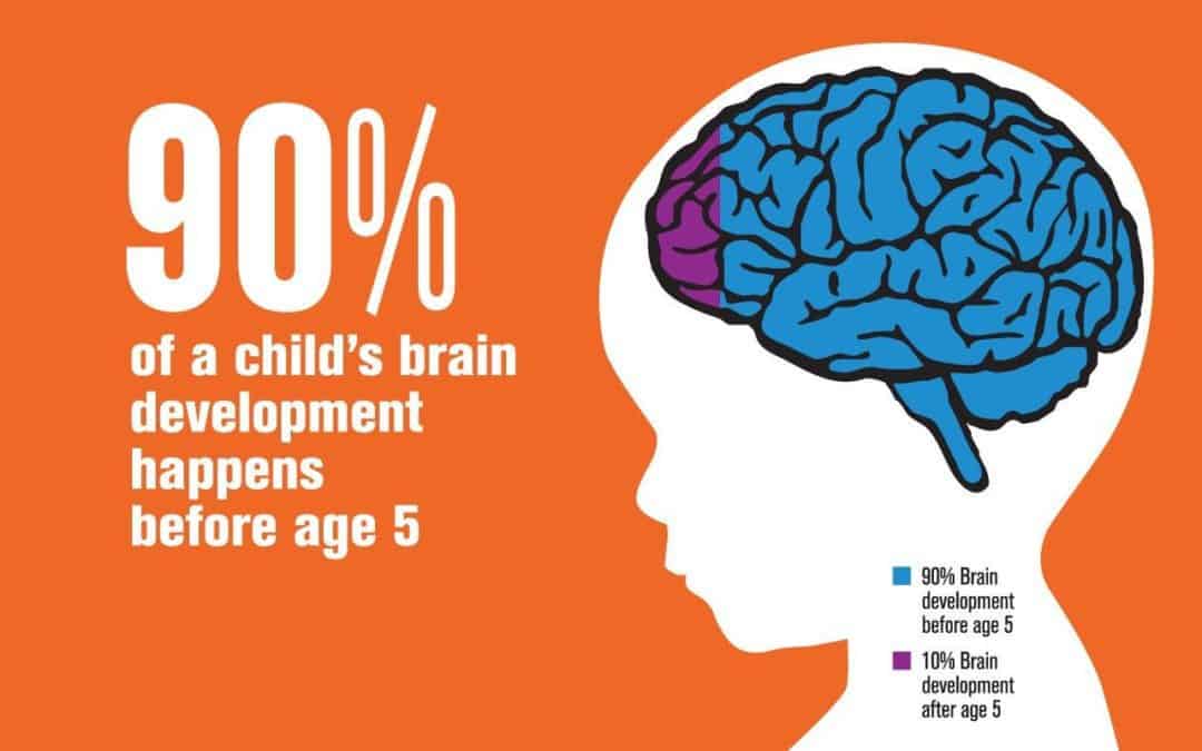 Brain Development in Children – 12 Sensitive Periods You Must Not Miss