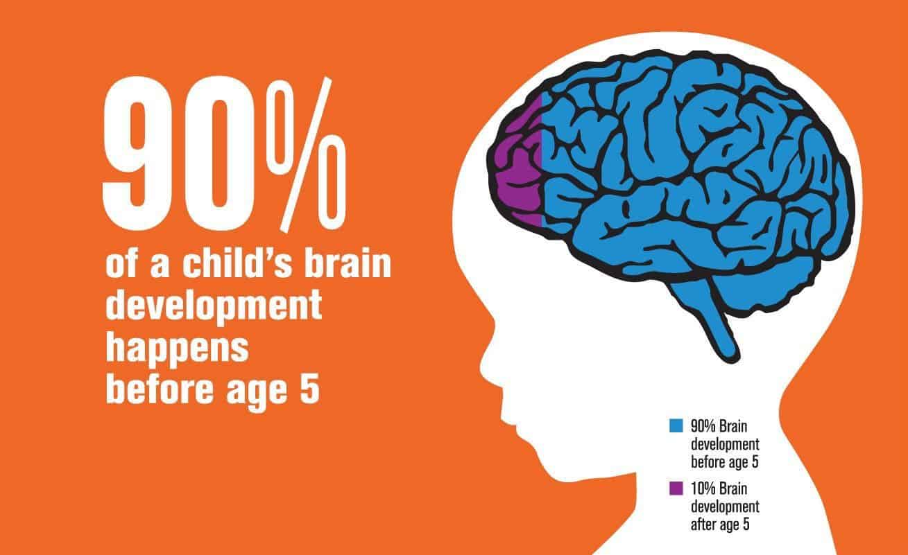 children brain development - sensitive periods